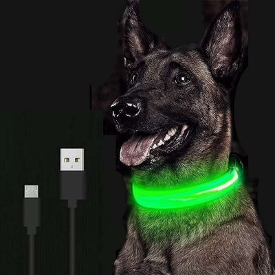 Adjustable LED Pet Collar Justforkixxs