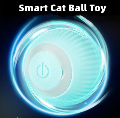 Smart Cat Ball Toys Justforkixxs
